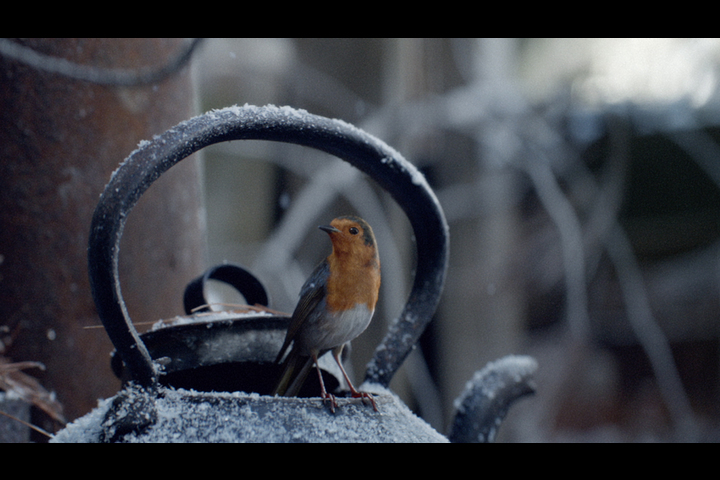 Coming Home - Waitrose - Waitrose