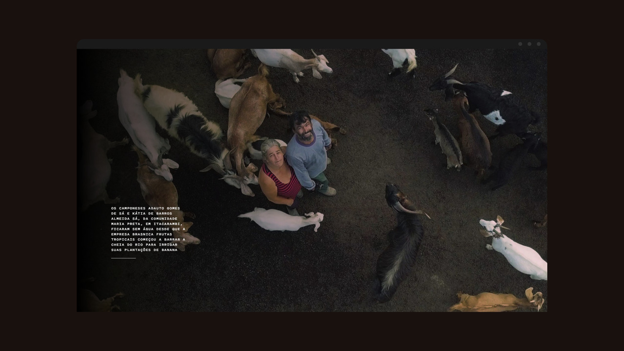 A nova cara do velho Chico - 2020 - Datadot