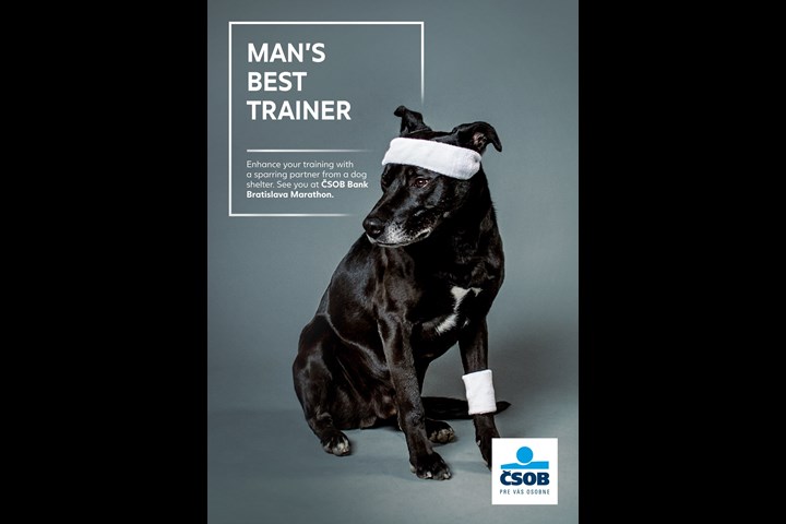 Marathon Dogs - ČSOB Bank Bratislava Marathon sponsorship - ČSOB Bank