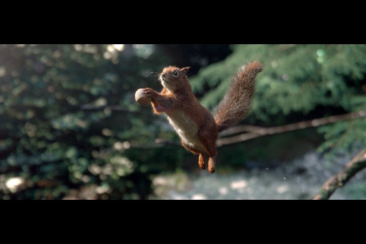 Biodiversité - Water - Vittel