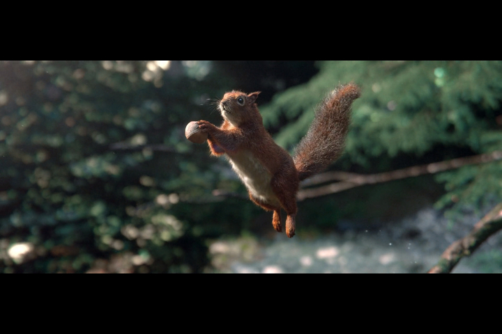 Biodiversité - Water - Vittel