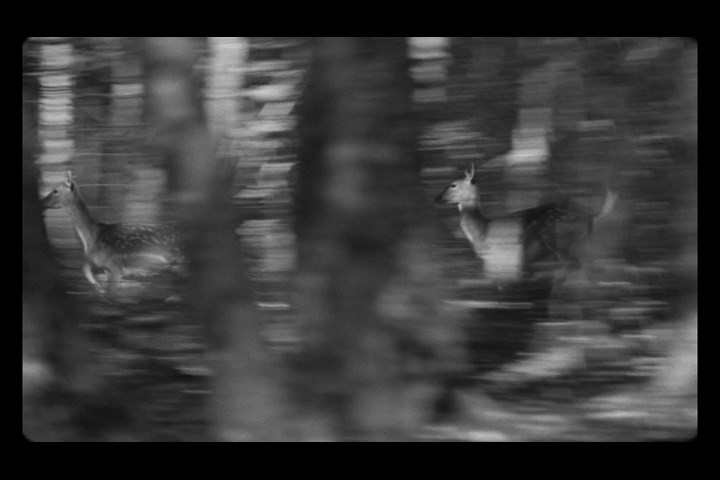 Sense of Place - Some Films - Naive
