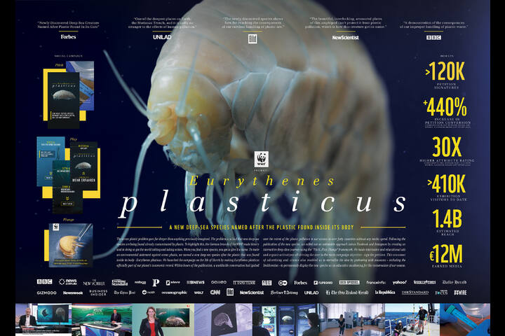 Eurythenes plasticus - WWF Germany - A new species