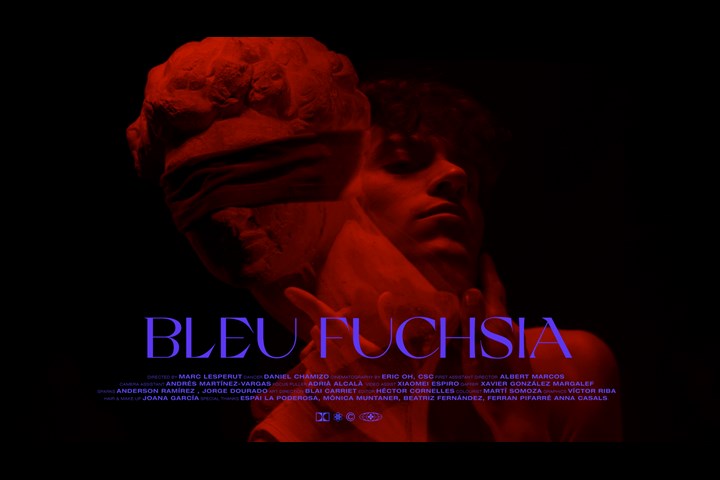 Bleu Fuchsia - - - -