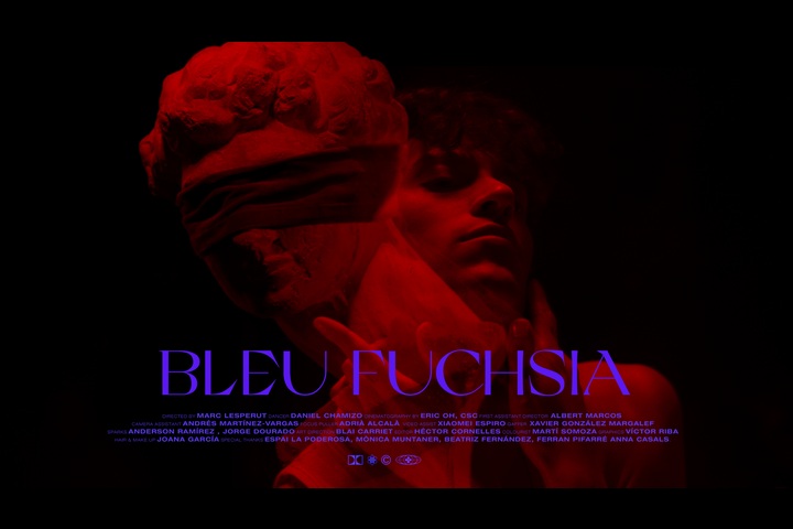 Bleu Fuchsia - - - -