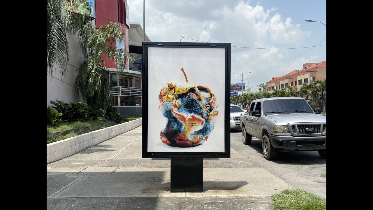 Waste - 2023 - Maurício Firmino Jr.