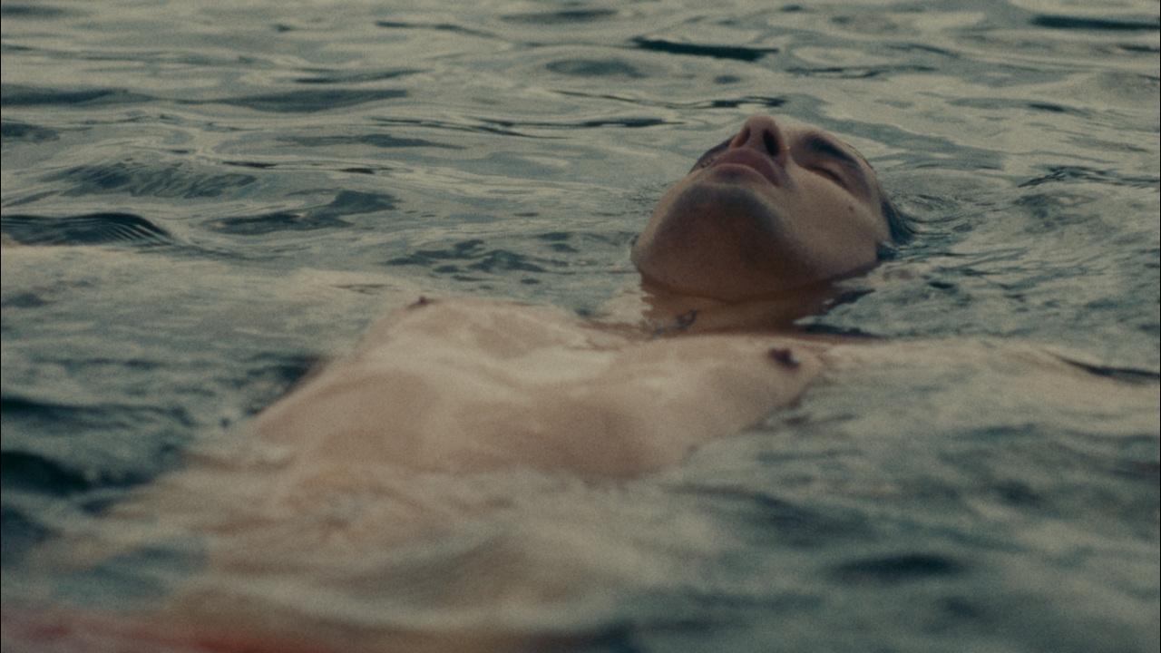 Ecstasy Homosexuality - Zinglyng - The Irrepressibles