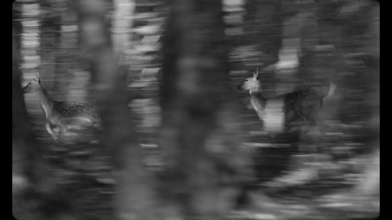 Sense of Place - Some Films - Naive