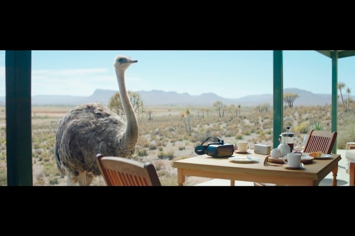 Ostrich - Samsung - Samsung
