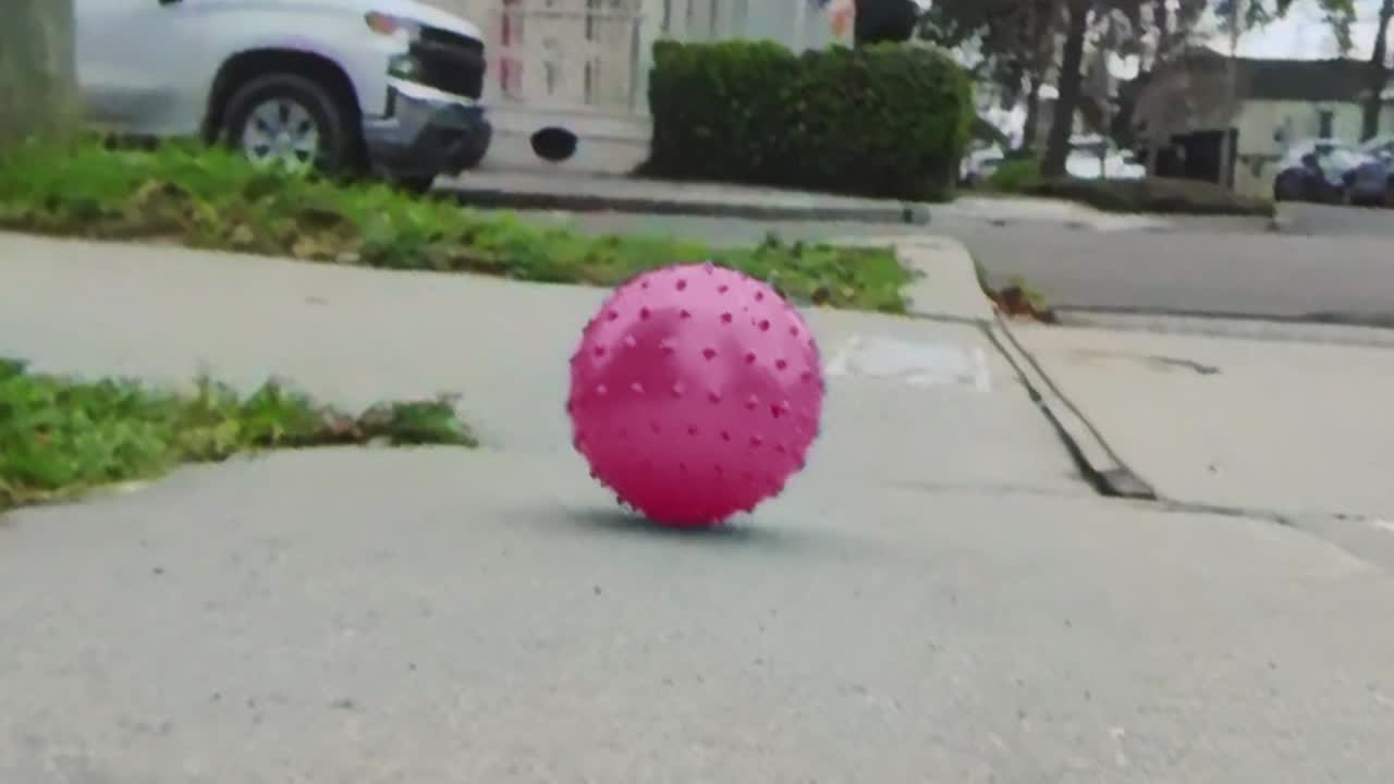 Year of the Snake - Biscuit Filmworks - Arcade Fire