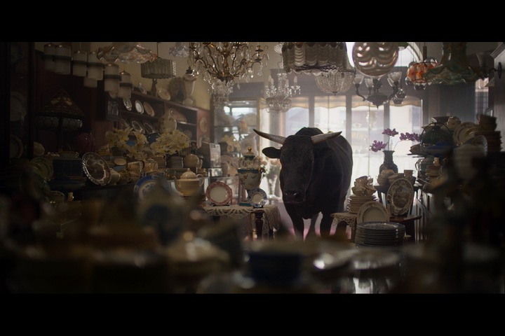 Calm Bull - Financial services - Moneysupermarket.com