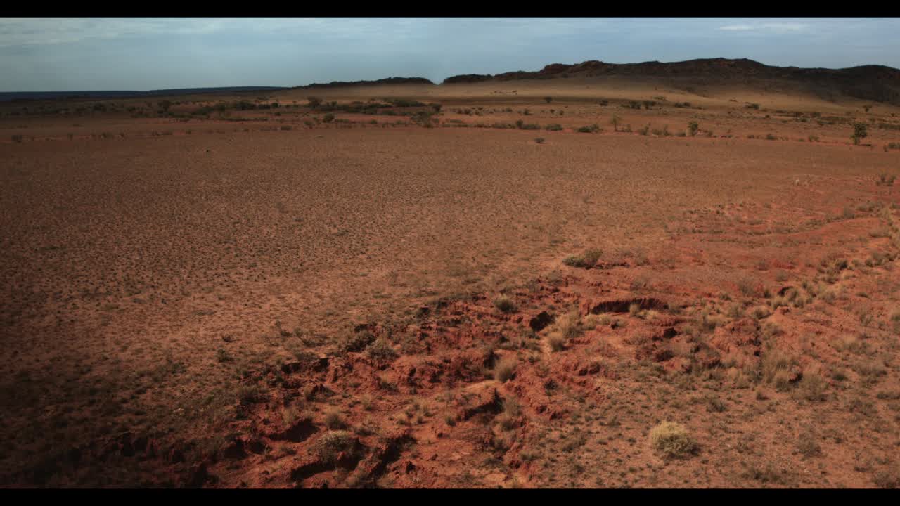 Homegrown Sound - Scoundrel - Scoundrel