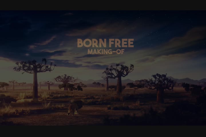Bruno Monteiro, Paulo Garcia, Daniel Salles - - Born Free Foundation