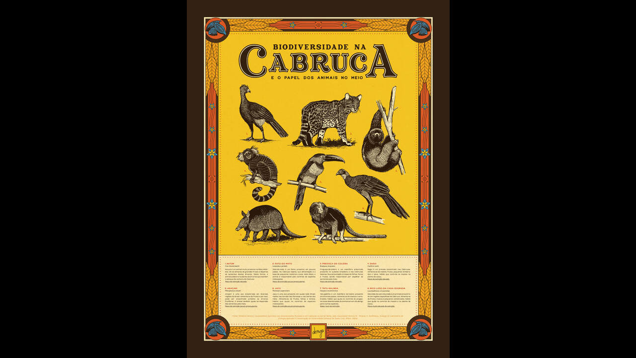 Dengo Cartazes - 2022 - Estúdio Arado & Lasca