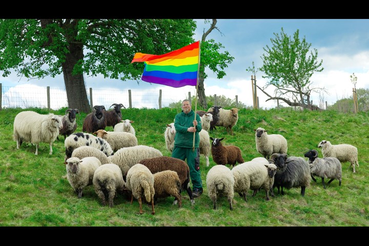 Rainbow Wool - Rainbow Wool - Schäferei Stücke