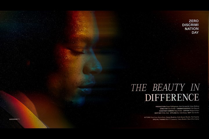 The Beauty In Difference - Privately produced -
