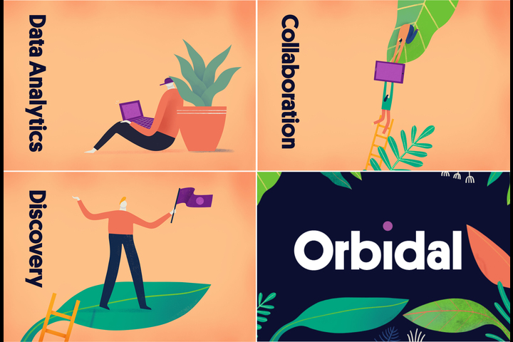 Orbidal Brand - SaaS Platform (Software) - Orbidal