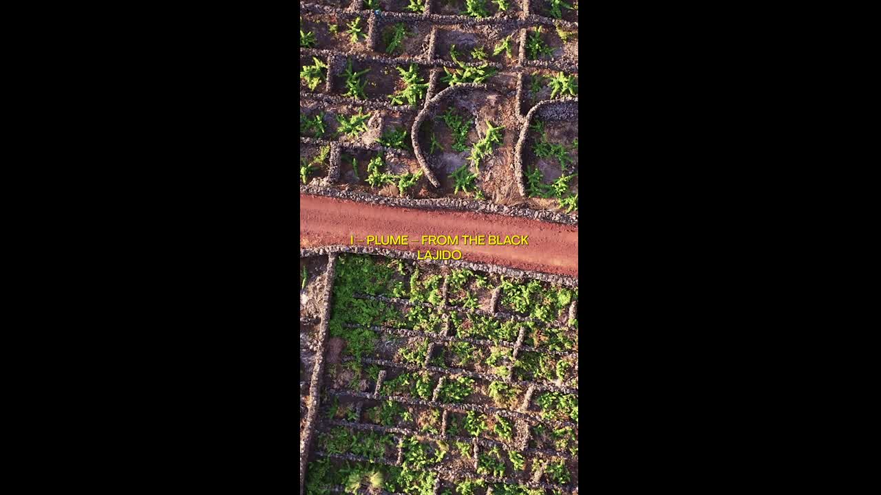 Pairing Portugal - Tourism - Visit Portugal