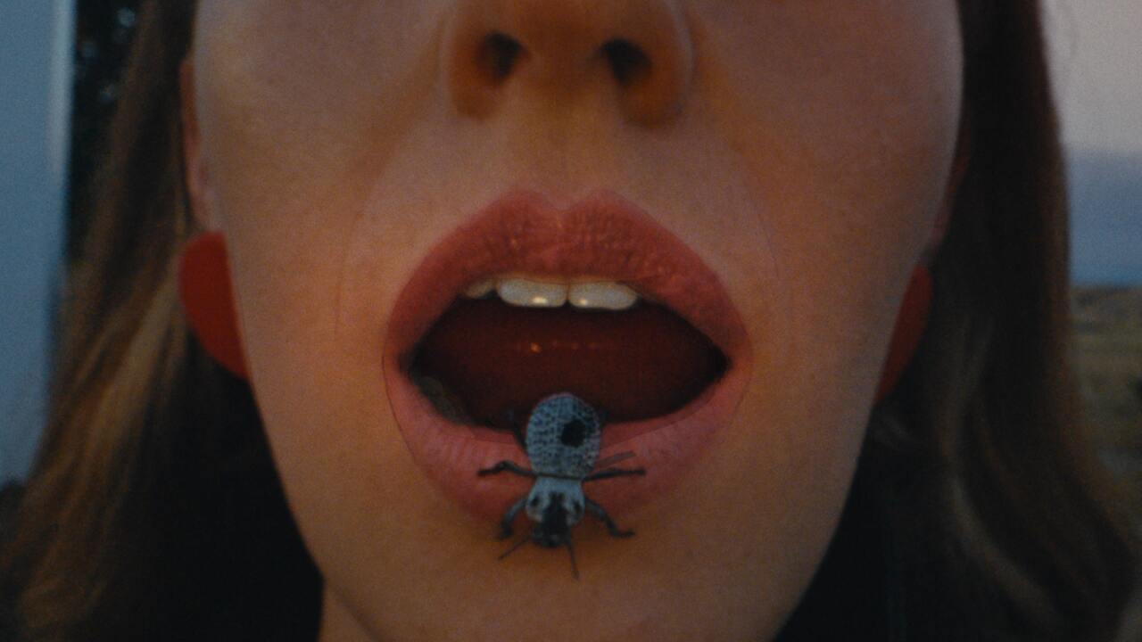 Beetlebugs - Nick Leng - Nick Leng