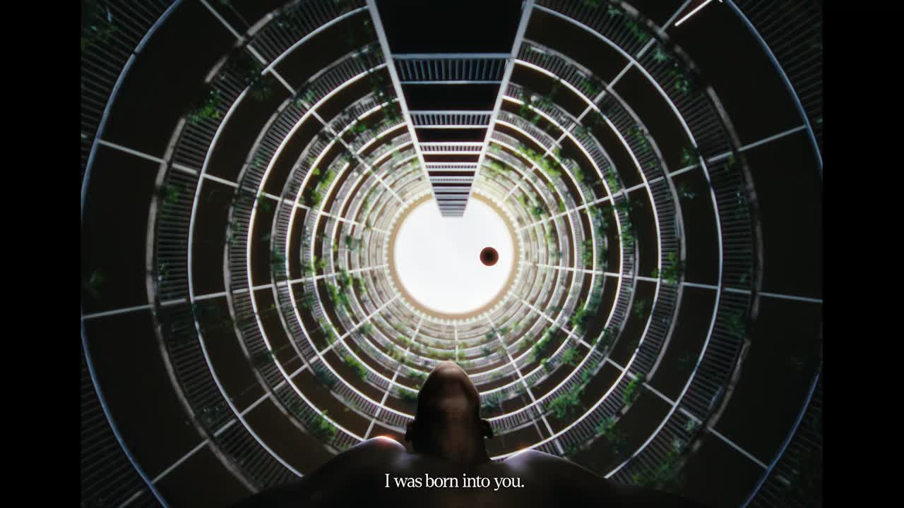 Royd Ringdahl - RSA Films - 