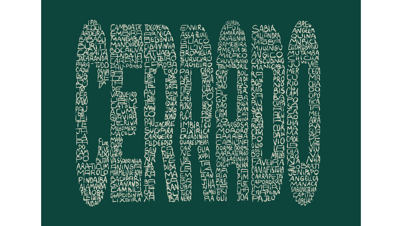 Coleção HORTO/GRÁFICO - 2024 - POLCA