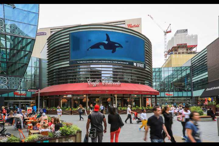 #TankFree - Born Free Foundation - World Orca Day