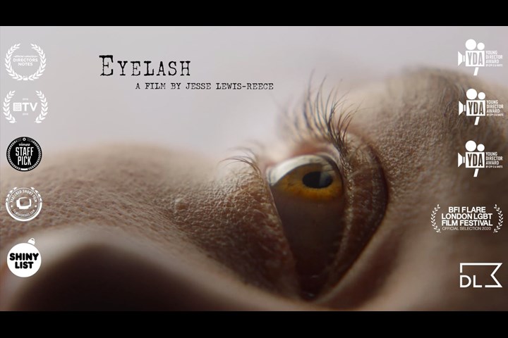 Eyelash - You Are Here - 
