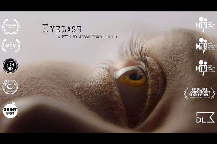 Eyelash - You Are Here - 
