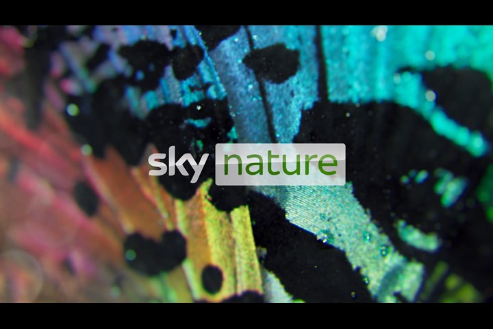 Sky Nature idents - Sky Nature - Sky