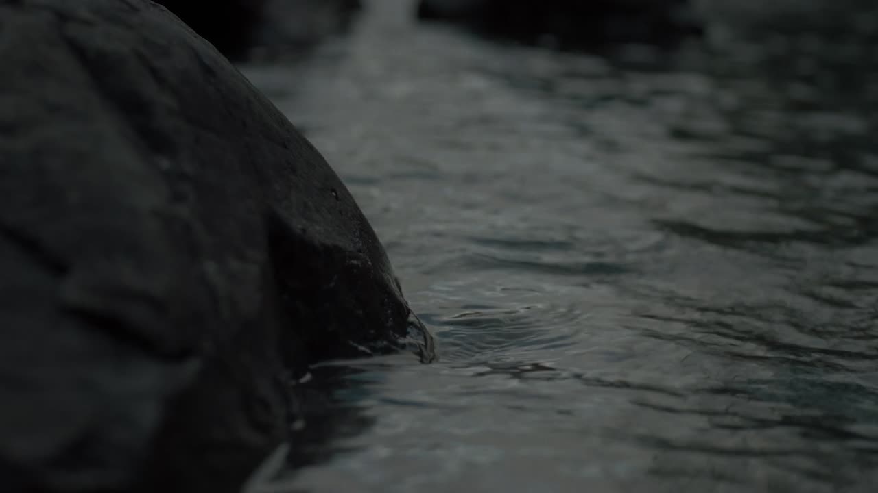 Liberté, Égalité, Sagacité - Breathe Entertainment -