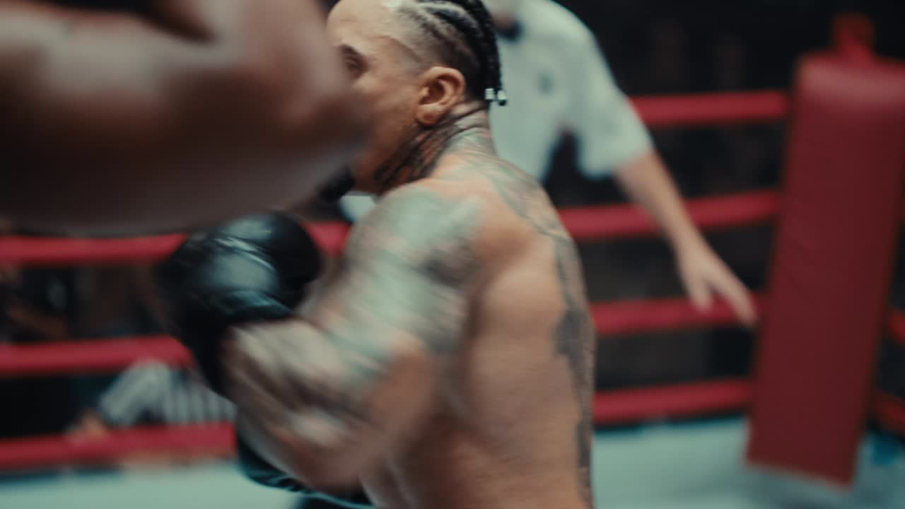 Fight Music - ICONOCLAST - Iconoclast