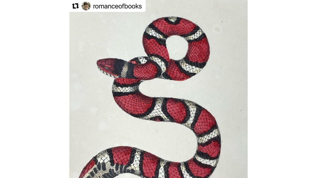 Os Tincoãs • o canto coral afrobrasileiro - 2023 - OBLÍQUO