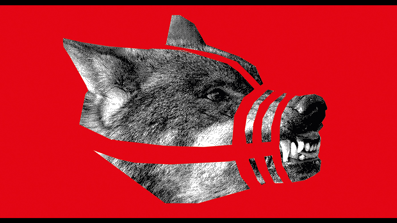 Ilustrações Folha de S. Paulo - 2022 - André Stefanini