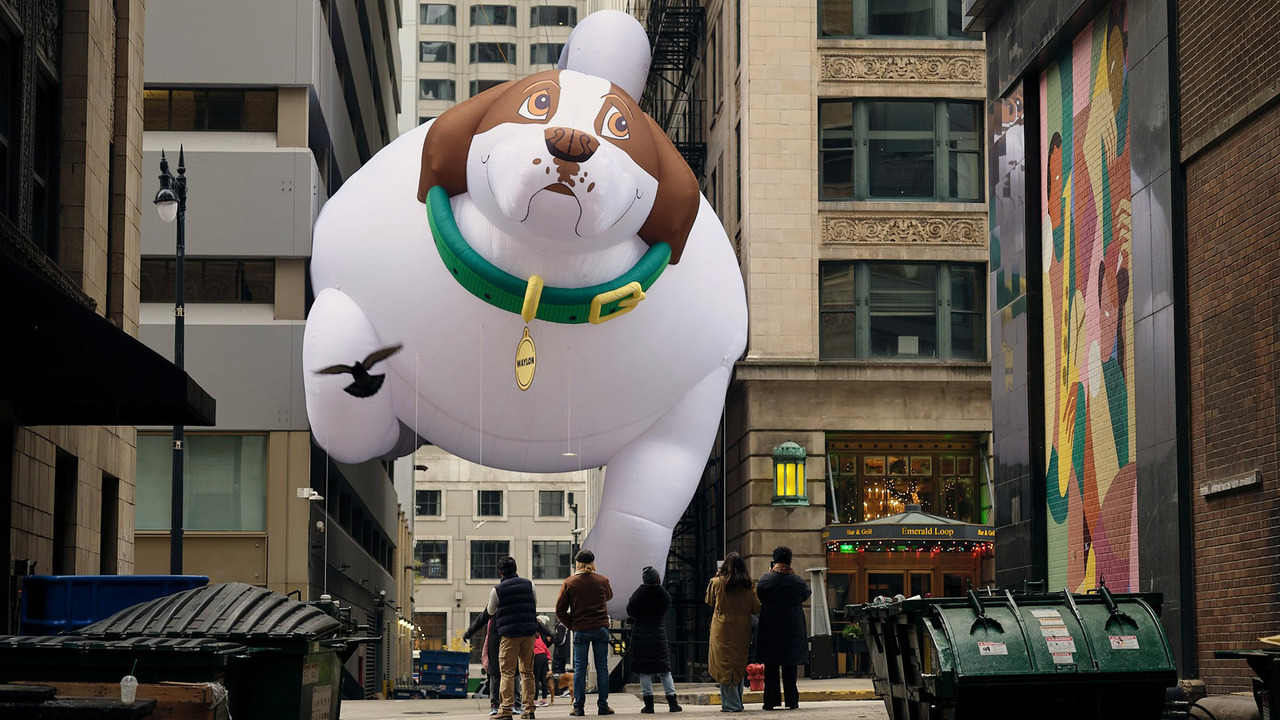 IAMS Presents: Waylon - Biscuit Filmworks x Revolver - We worked with IAMS and Adam&EveDDB to create a giant overweight dog parade balloon, stuck between two buildings enroute to the Chicago thanksgiving parade.
The aim was to raise awareness of dog obesity in the US and promote healthier choices for pet owners.