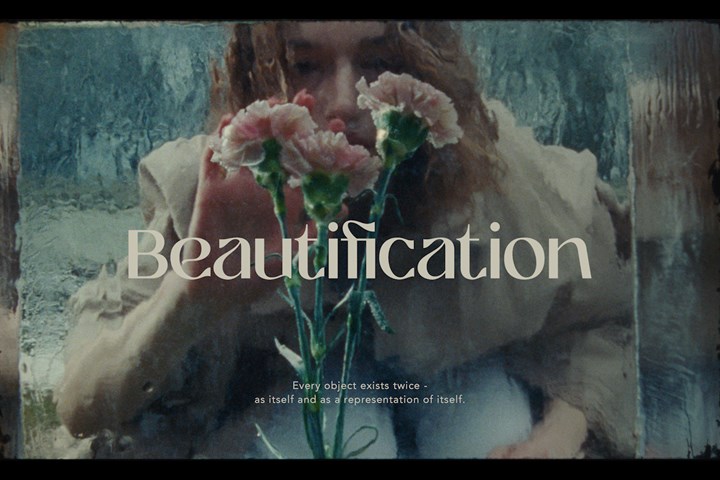 Beautification - Fledge -