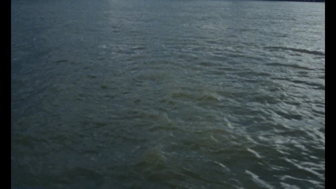 Ghost in the shell - EDEN - Grayskull - EDEN