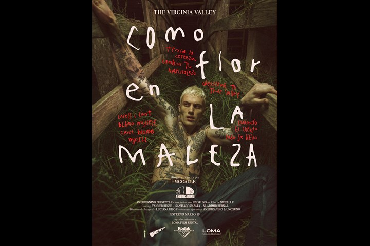 Como Flor En La Maleza - The Virginia Valley - Unoxuno - Americanino and The virginia Valley