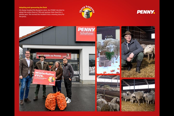 Sheep happens - Retail - PENNY