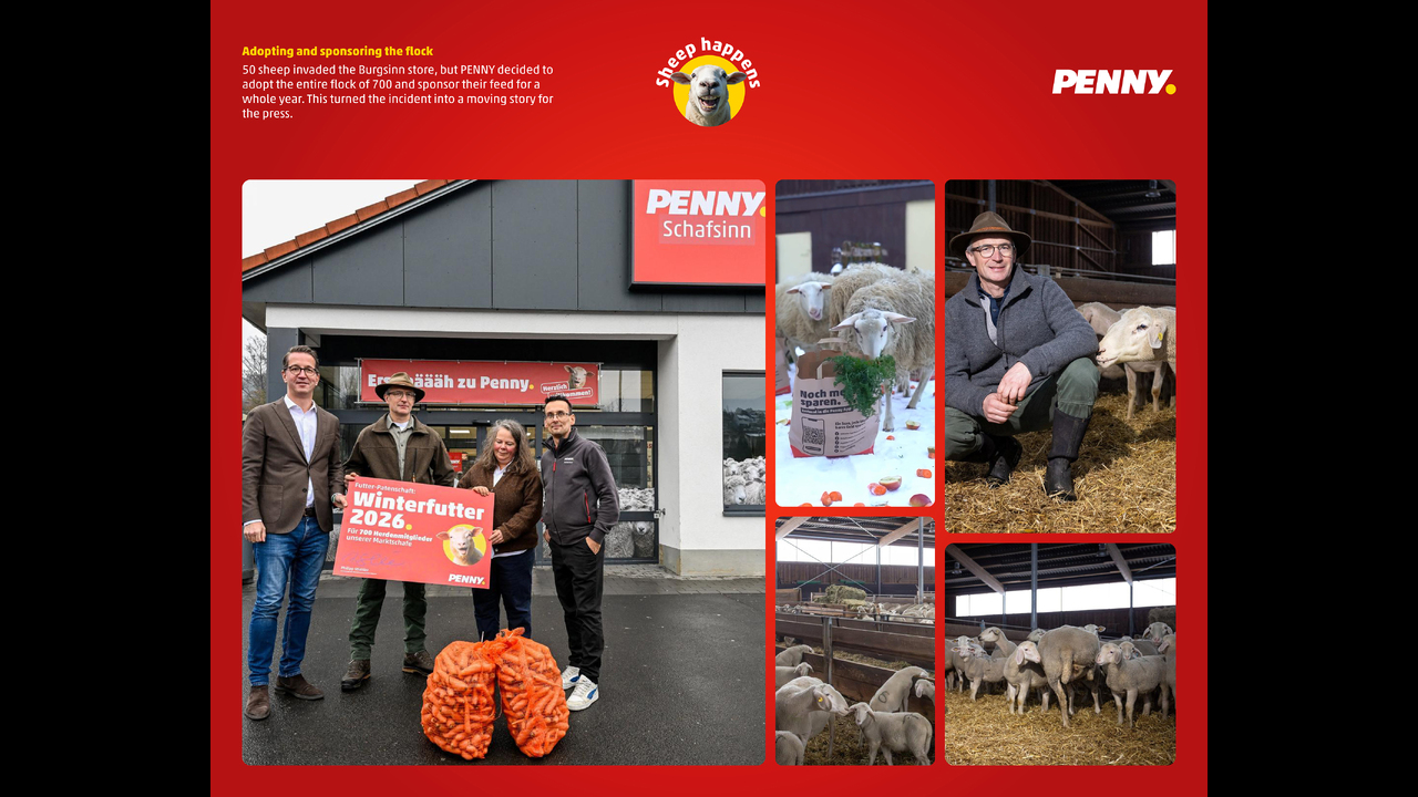 Sheep happens - Retail - PENNY