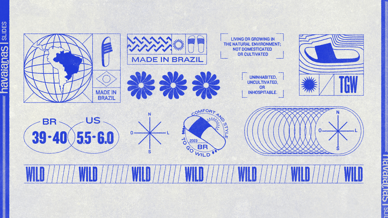 Havaianas To Go Wild - 2023 - Estúdio Caxa