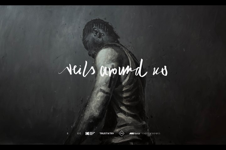 Veils Around Us - TRUST'N'TRY GmbH -