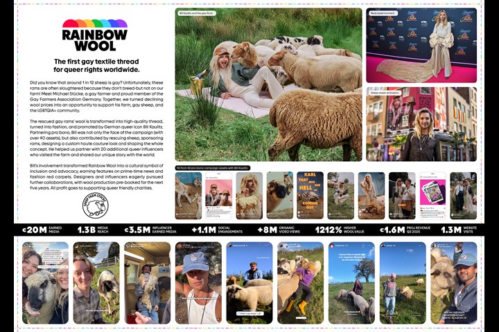 Rainbow Wool - Rainbow Wool - Schäferei Stücke