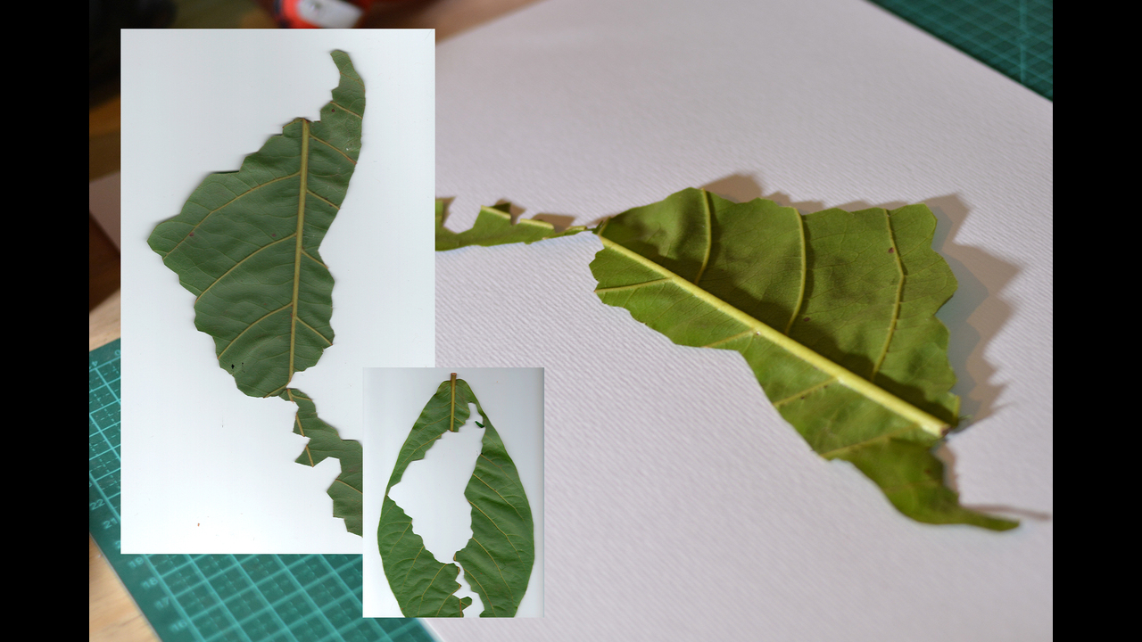 Formigueiro: caminhos para uma educação transformadora - 2020 - Luan Freitas