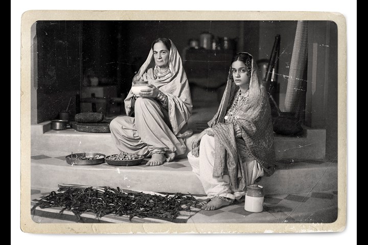 Family Heirloom - Amar Tea Pvt Ltd - Society Tea