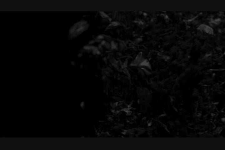 Allesandro Granella, Radu Ciubotariu & Kristian Bonne - Hennessy XO -