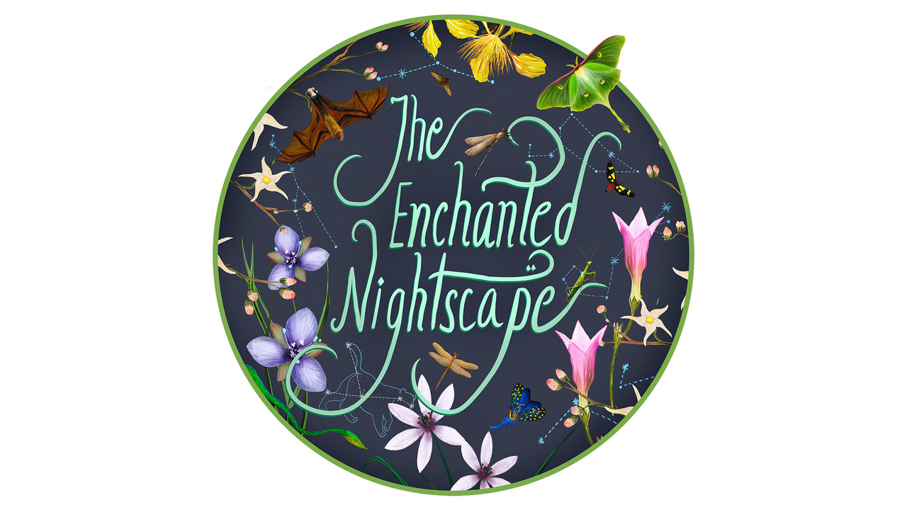 The Enchanted Nightscape - Conscious Collective 2024 - Godrej Design Lab