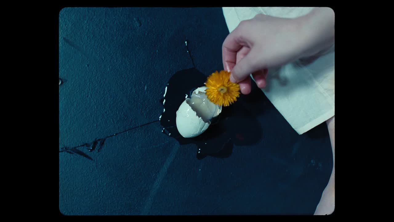 My Love Mine All Mine - Dead Oceans - Mitski