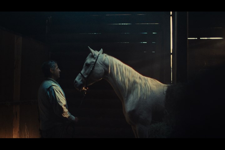 Ford, Learn - Immigrant Studio - Immigrant Studio