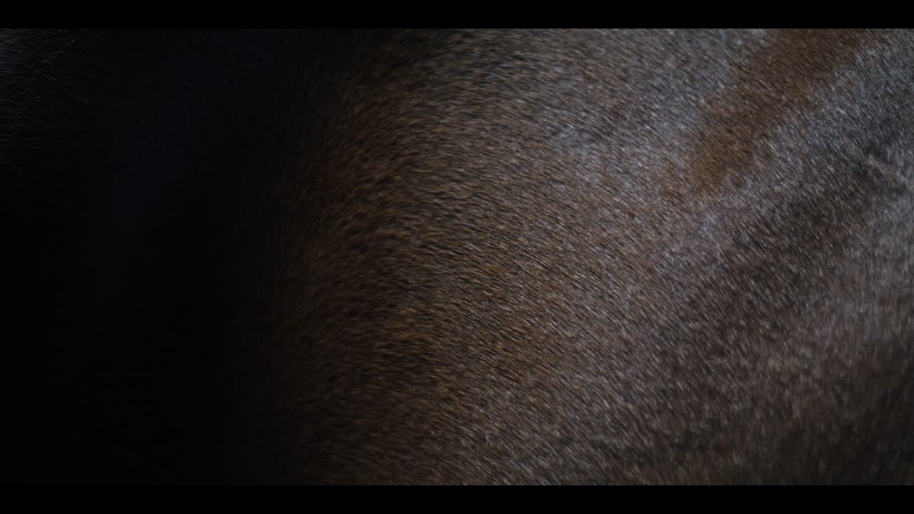 A Great Love - Aisha Schliessler / You Are Here - 