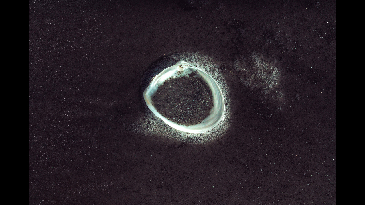 Constelações - 2019 - 